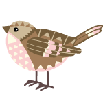 bird4