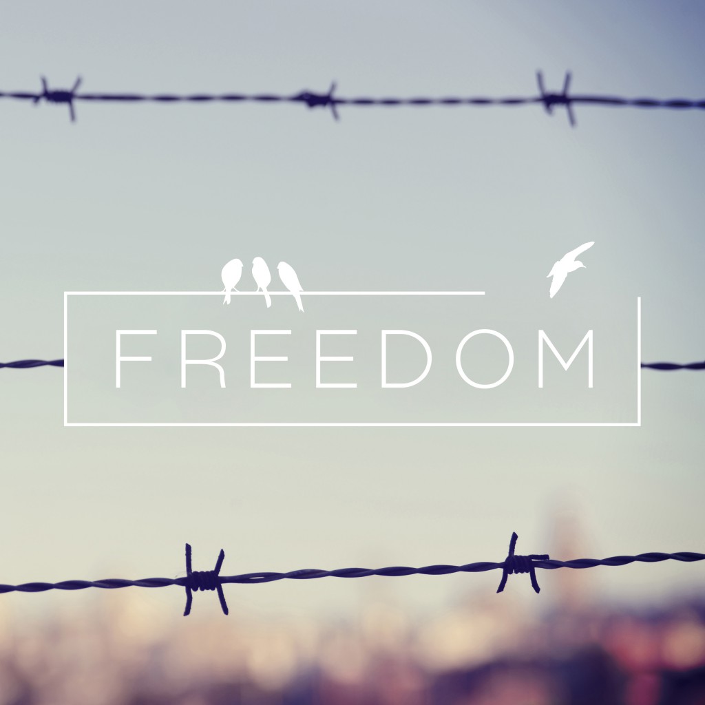 Freedom quote concept barbed wire background